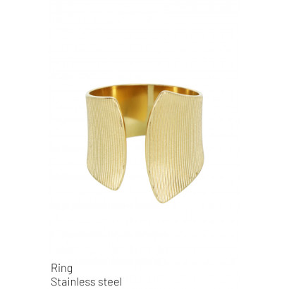 RING STAINLESS STEEL,...