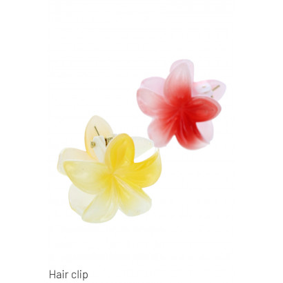 SET: 2 PINCES A CHEVEUX EN FORME DE FLEUR