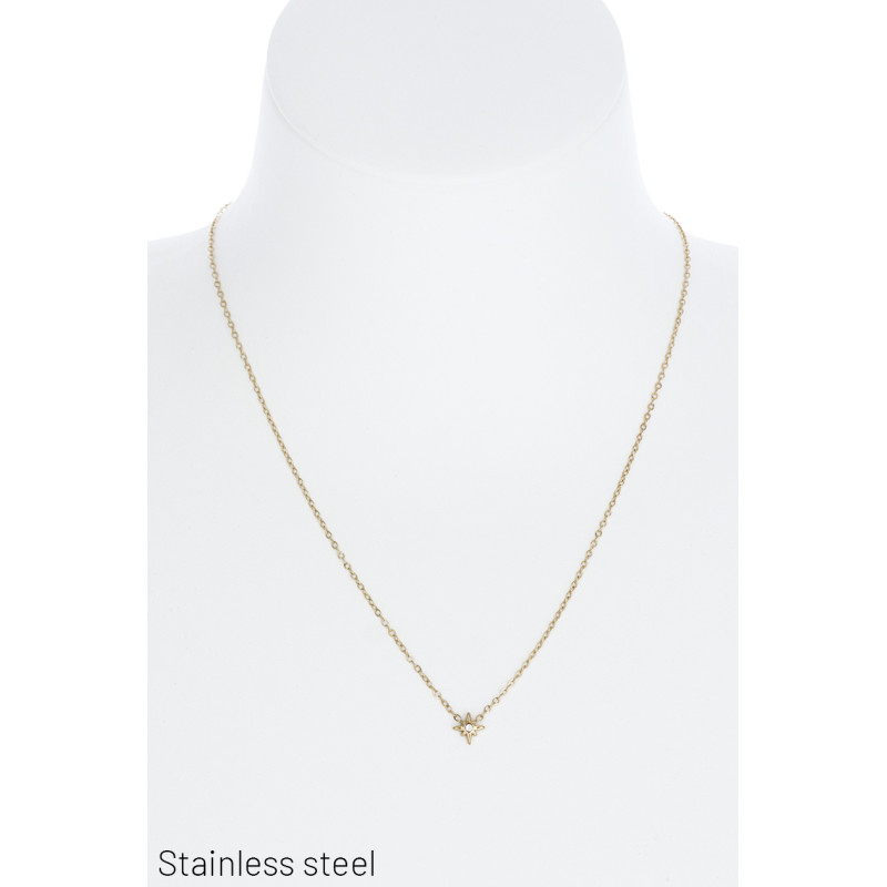 COLLAR EN ACERO CON ESTRELLA Y ESTRÛS