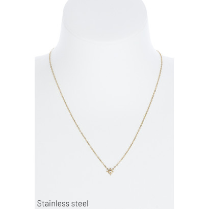 COLLAR EN ACERO CON ESTRELLA Y ESTRÛS