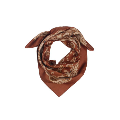 VIERKANTJE POLYSILK SJAAL MET PAISLEY PATROON