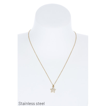COLLIER EN ACIER AVEC ÉTOILE ET STRASS